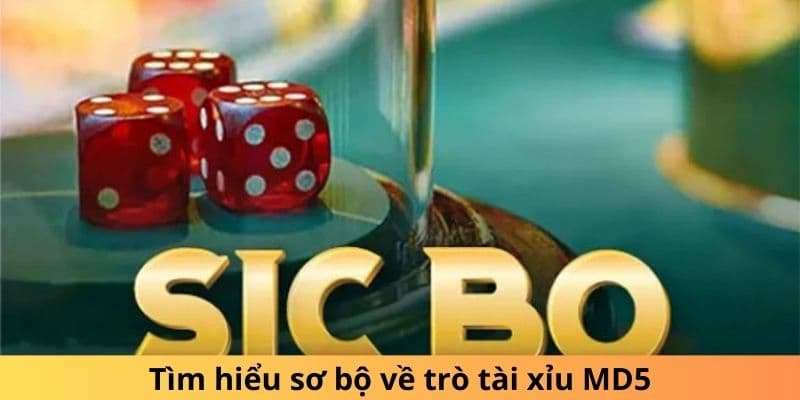 Khám phá sức hút của Tài xỉu MD5 tại Fun88